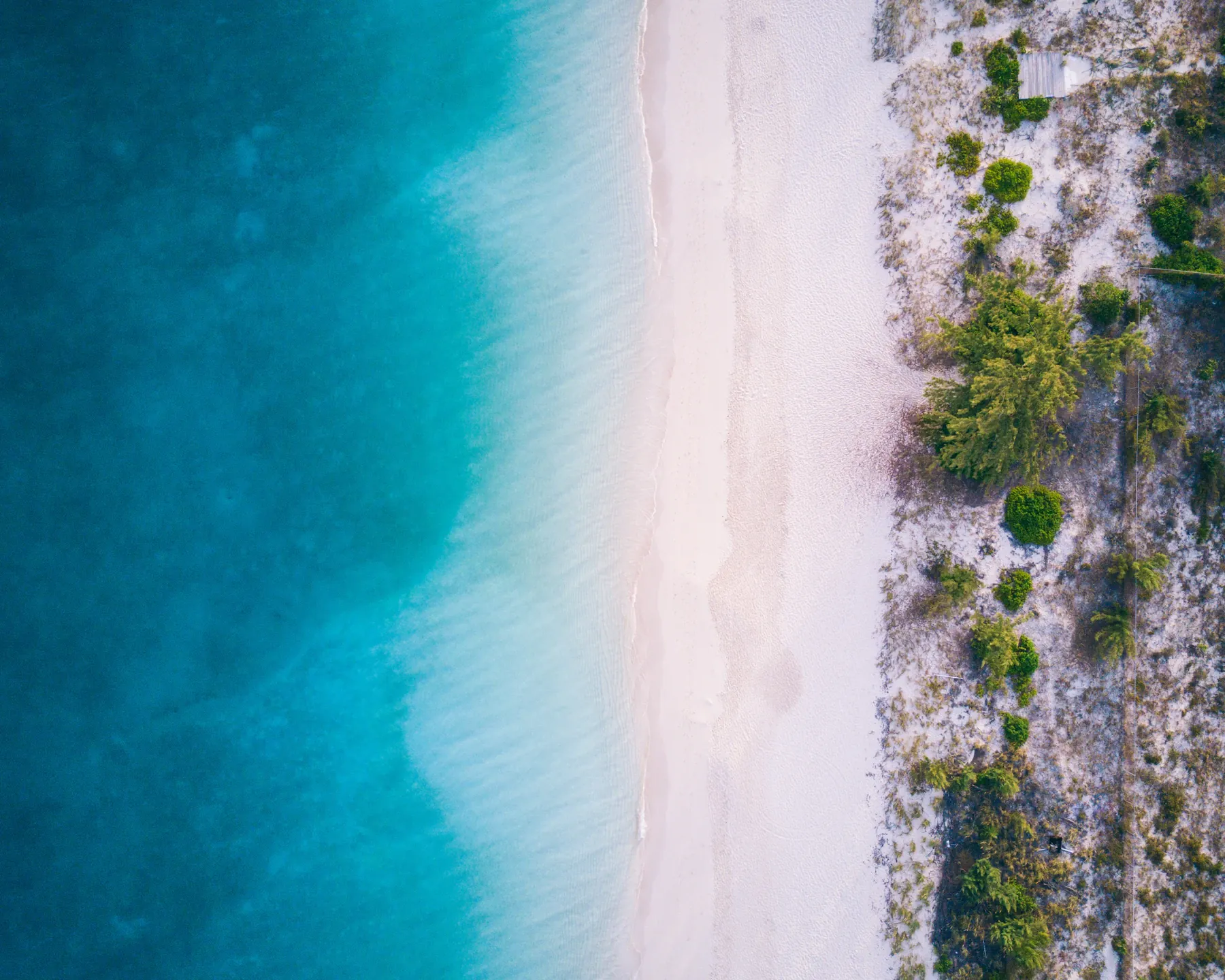 Grace Bay shoreline and turquoise waters, Turks and Caicos Islands